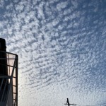 IMG_6751